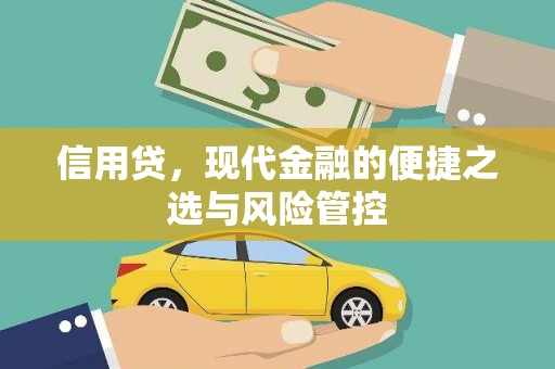 苗栗信用贷，现代金融的便捷之选与风险管控