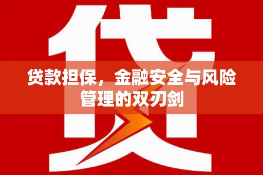 苗栗贷款担保，金融安全与风险管理的双刃剑