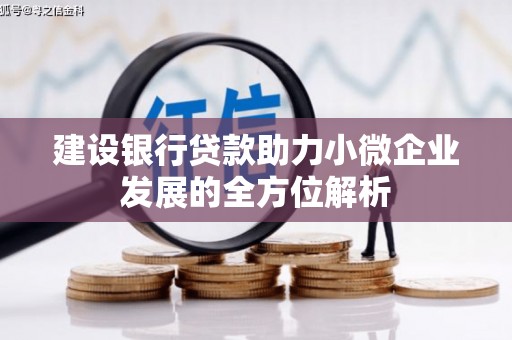 苗栗建设银行贷款助力小微企业发展的全方位解析