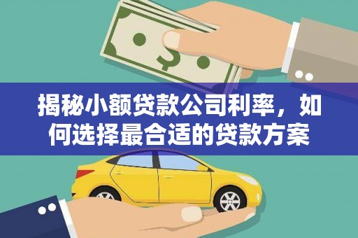 苗栗揭秘小额贷款公司利率，如何选择最合适的贷款方案