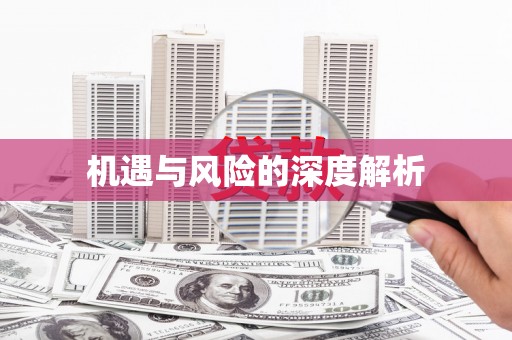 苗栗机遇与风险的深度解析