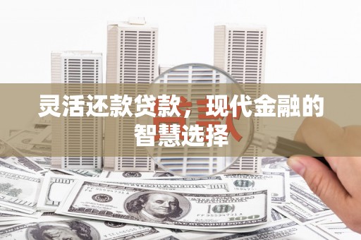 苗栗灵活还款贷款，现代金融的智慧选择