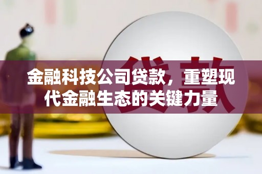 苗栗金融科技公司贷款，重塑现代金融生态的关键力量