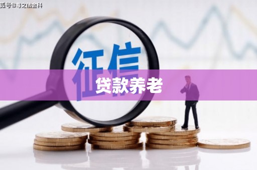 苗栗贷款养老