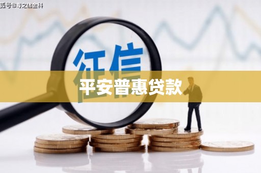 苗栗平安普惠贷款