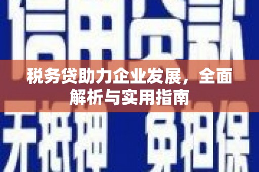 苗栗税务贷助力企业发展，全面解析与实用指南