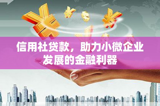 苗栗信用社贷款，助力小微企业发展的金融利器