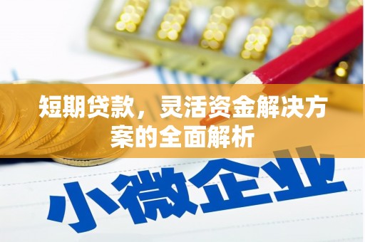 苗栗短期贷款，灵活资金解决方案的全面解析