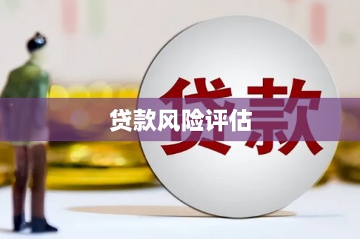 苗栗贷款风险评估