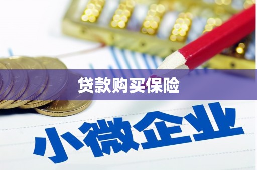 苗栗贷款购买保险