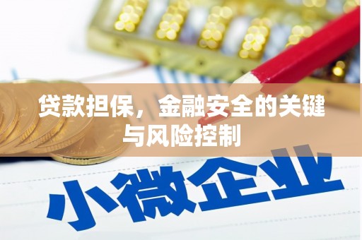 苗栗贷款担保，金融安全的关键与风险控制
