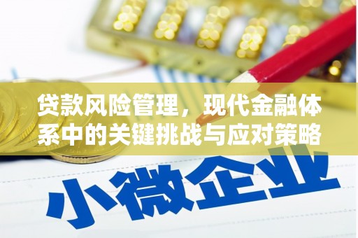 苗栗贷款风险管理，现代金融体系中的关键挑战与应对策略