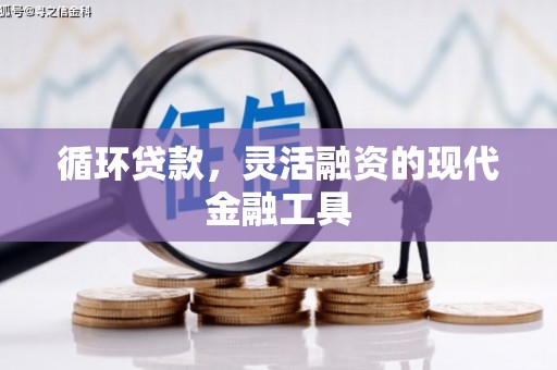 苗栗循环贷款，灵活融资的现代金融工具