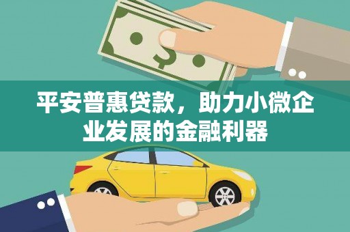 苗栗平安普惠贷款，助力小微企业发展的金融利器