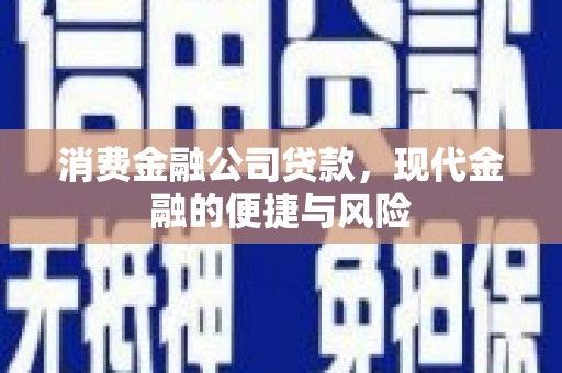 苗栗消费金融公司贷款，现代金融的便捷与风险