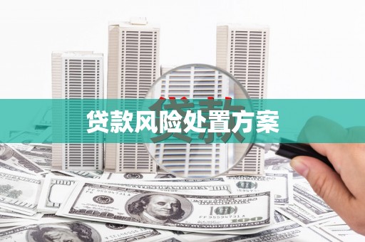 苗栗贷款风险处置方案