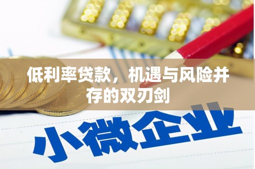 苗栗低利率贷款，机遇与风险并存的双刃剑