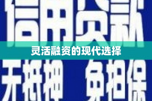 苗栗灵活融资的现代选择