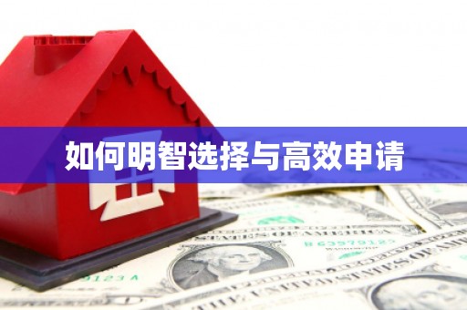苗栗如何明智选择与高效申请