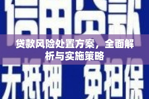 苗栗贷款风险处置方案，全面解析与实施策略