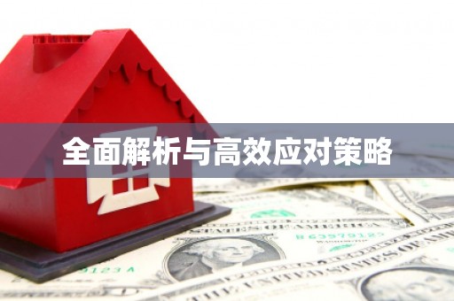 苗栗全面解析与高效应对策略