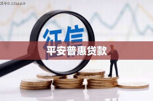 苗栗平安普惠贷款