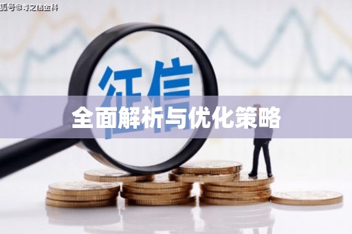 苗栗全面解析与优化策略